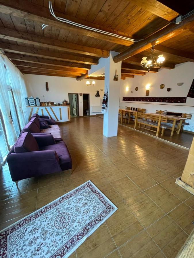 Pensiunea Casa Teo Сэпынца Экстерьер фото